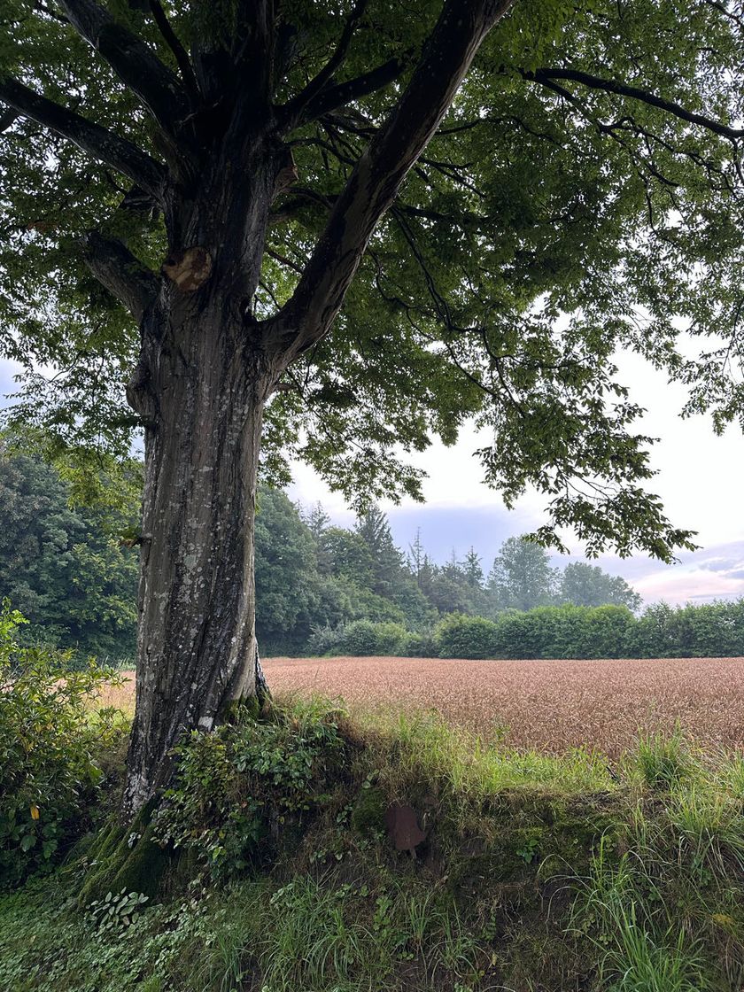 Noorwegen: tussen gletsjers, fjorden en haarspeldbochten — Ahlefeld-Bistensee | Stau & Schlafpause 🚙