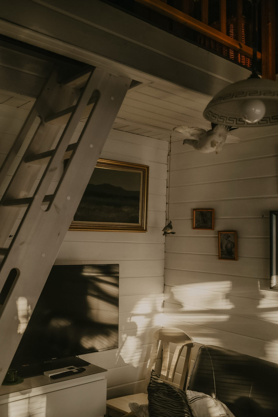Van Noorderlicht tot Rendieren: Een Week Vol Magie in Lapland — photo 5