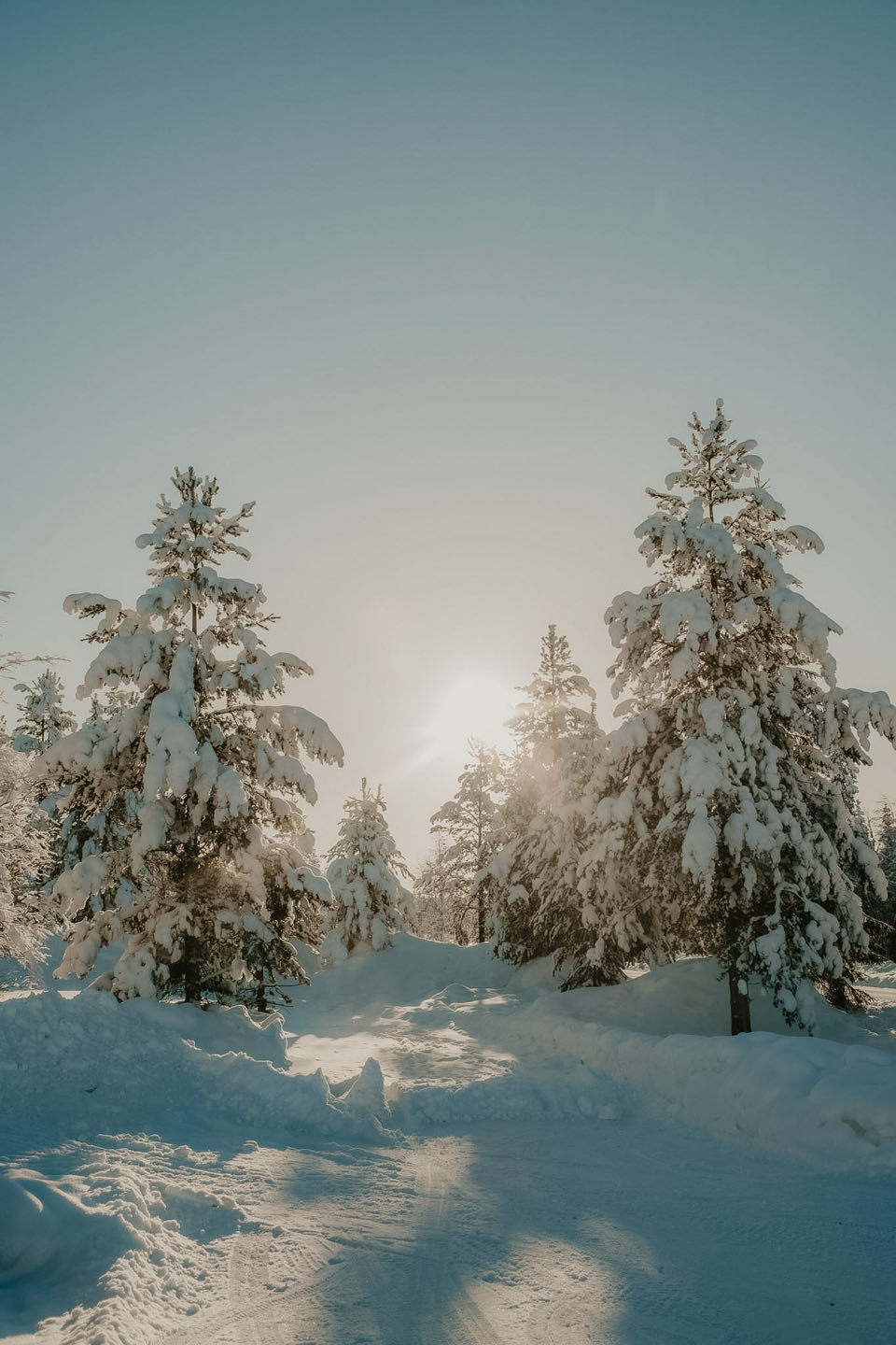 Van Noorderlicht tot Rendieren: Een Week Vol Magie in Lapland — photo 8