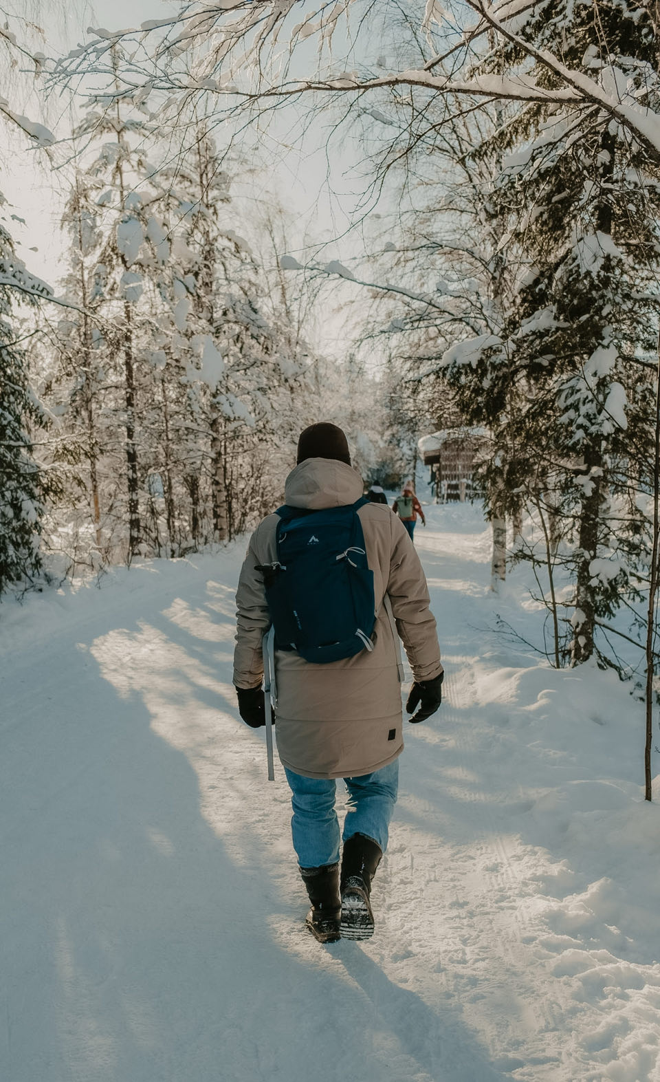 Van Noorderlicht tot Rendieren: Een Week Vol Magie in Lapland — photo 10