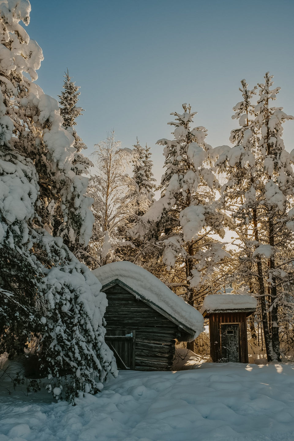 Van Noorderlicht tot Rendieren: Een Week Vol Magie in Lapland