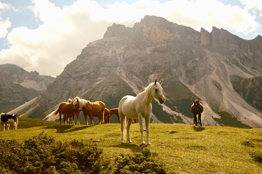 Seceda wandelroute: een iconische Dolomieten-hike vanuit Ortisei — Seceda 🇮🇹 | Wauw. Wauw. Wauw.